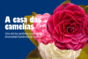 Boiro Turismo - Casa das camelias